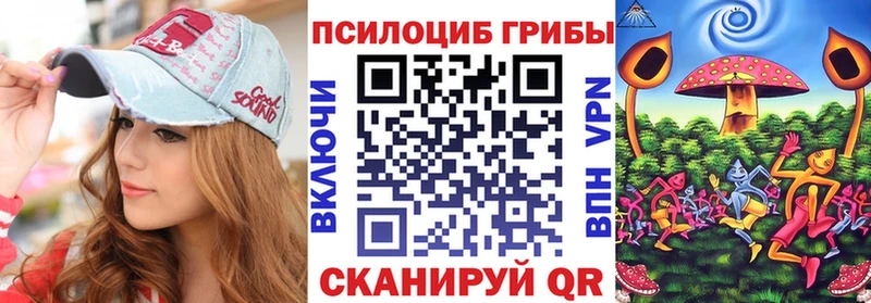 Псилоцибиновые грибы прущие грибы  Купить закладки  Шарья 