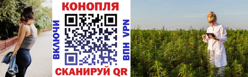 Купить закладки  Шарья  Канабис MAZAR 